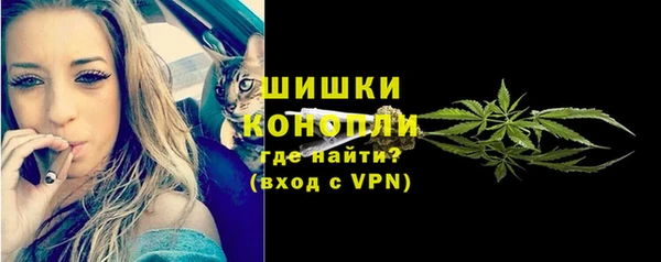 эйфоретик Арсеньев