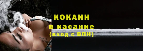 твердый Аркадак