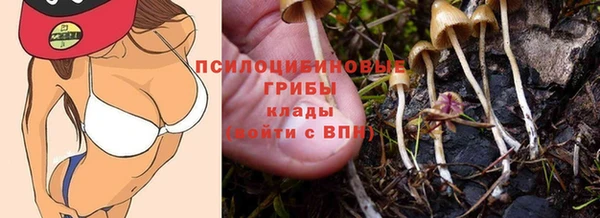 твердый Аркадак