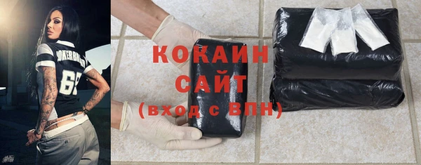эйфоретик Арсеньев